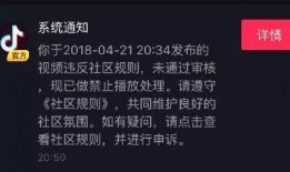抖音最新爆料,揭秘网红幕后真相，行业乱象引关注！
