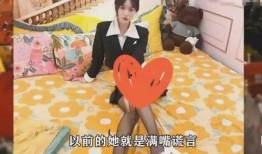 网红万字爆料视频大全,视频大全背后的真实故事