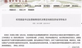 沈阳爆料小视频,真实事件引发网友热议