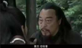 司马懿电视剧在线观看,权谋天下，智斗三国风云