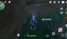 原神流浪者爆料视频大全,揭秘游戏幕后故事与精彩瞬间