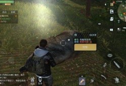 黎明觉醒最新武器爆料图,全新武器震撼来袭，揭秘神秘爆料图