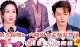 刘大锤爆料杨紫评论视频,刘大锤独家爆料幕后真相