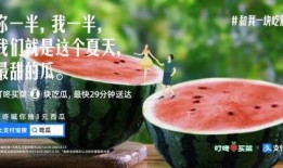 娱乐吃瓜文案图片,吃瓜群众视角下的幕后花絮大公开