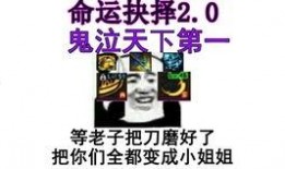 龙猫爆料宝哥视频,宝哥视频中的龙猫爆料大揭秘