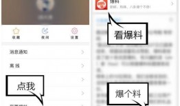爆料视频怎么看不到了,爆料视频消失之谜，真相竟如此惊人！
