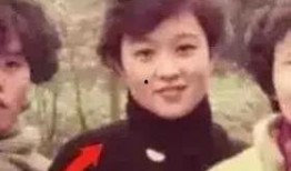 娱乐吃瓜女艺人压力,挑战与成长