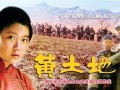 黄土地电影在线观看,探寻中国农村变迁的影像史诗