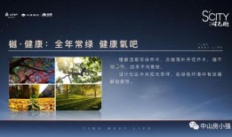 雪玲妃爆料图文大全最新,揭秘娱乐圈不为人知的秘密