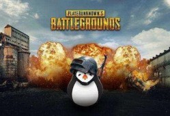 瓜仔吃鸡素材下载视频免费,免费下载视频，畅享欢乐时光