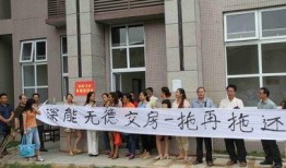 今天楼盘爆料新闻最新,新盘亮相！今日楼盘爆料聚焦高端住宅区新动态