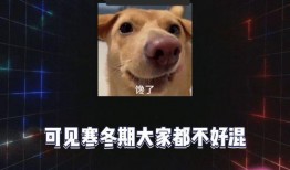 娱乐八卦劲爆吃瓜,劲爆吃瓜事件大曝光！