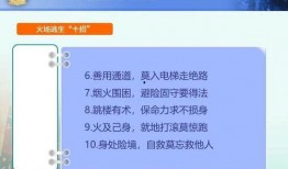 网友爆料视频模板,惊心动魄的现场瞬间！