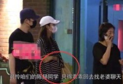 陈赫张子萱最新视频爆料,甜蜜互动引网友热议