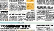广州新闻爆料有哪些,聚焦城市热点事件与民生动态