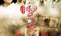 梨花泪全集在线观看