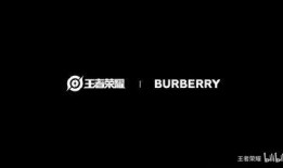 巴宝莉联名皮肤最新爆料,时尚与科技的完美融合