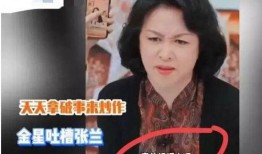 张兰爆料金星黑历史视频,揭秘娱乐圈背后的真相