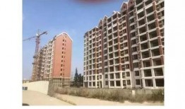 宁都最新爆料,揭秘背后惊人真相