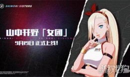 火影手游井阵最新爆料