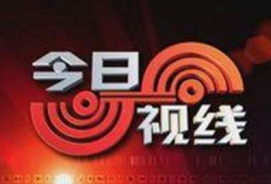 今日视线电话怎么爆料,揭秘事件背后真相