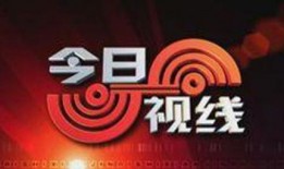 今日视线电话怎么爆料,揭秘事件背后真相