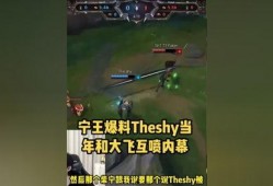大飞王者爆料最新消息,揭秘最新游戏动态与热点事件