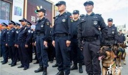 惠东吉隆警察爆料案件最新,最新案件细节曝光