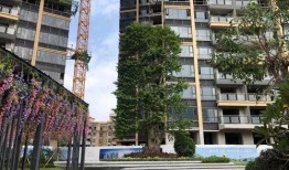 玉桂园小区最新爆料,揭秘神秘事件背后的真相