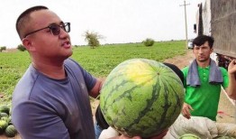 吃瓜走向第二集免费观看,揭秘幕后真相，免费观看等你来探秘