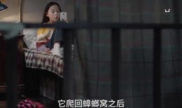 神秘人爆料视频大全集