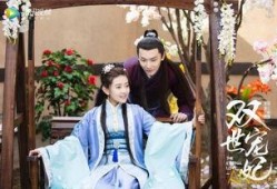 双世宠妃在线观看免费,穿越时空的甜蜜邂逅