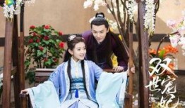 双世宠妃在线观看免费,穿越时空的甜蜜邂逅