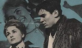 马丁在线观看,揭秘热门剧集背后的精彩故事