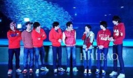 韩娱八卦最新爆料,某当红偶像恋情曝光，背后真相令人震惊！”